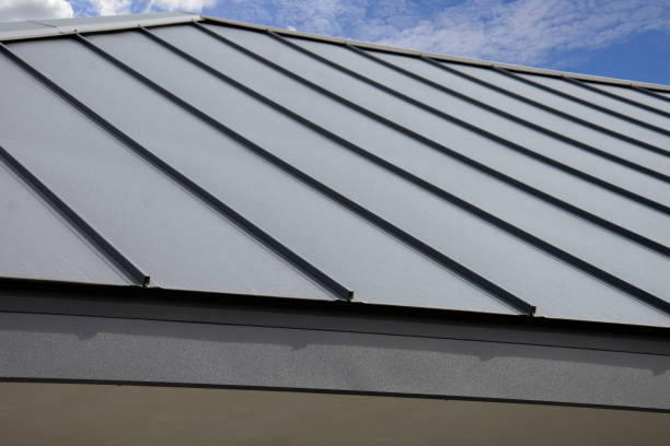 Best Skylight Installation and Repair  in Mundelein, IL